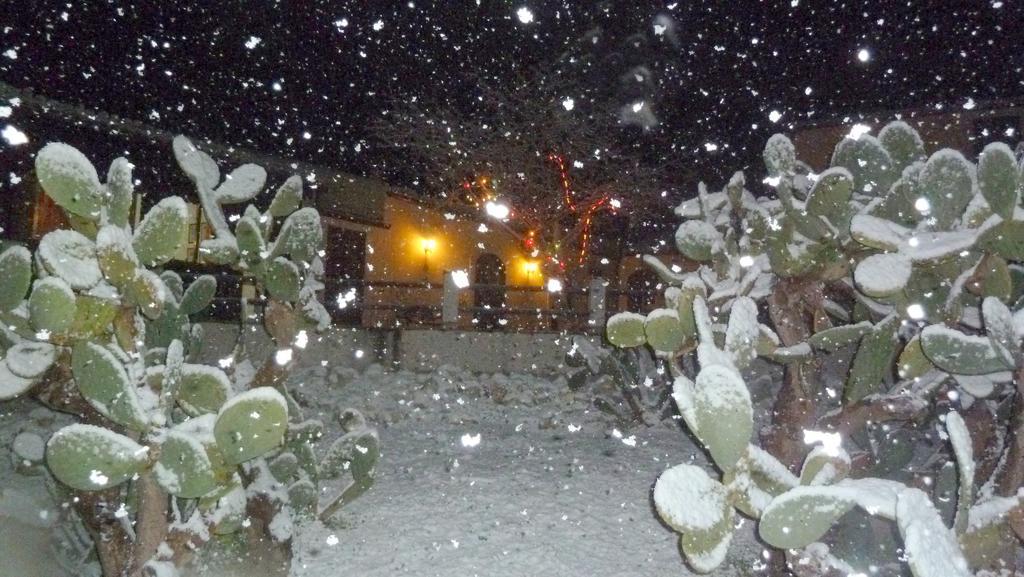 הוילה נוטו Agriturismo Timpa Del Sole מראה חיצוני תמונה