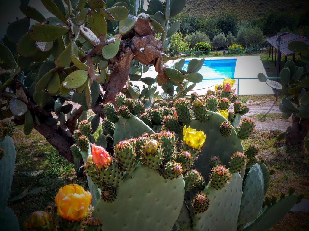 הוילה נוטו Agriturismo Timpa Del Sole מראה חיצוני תמונה