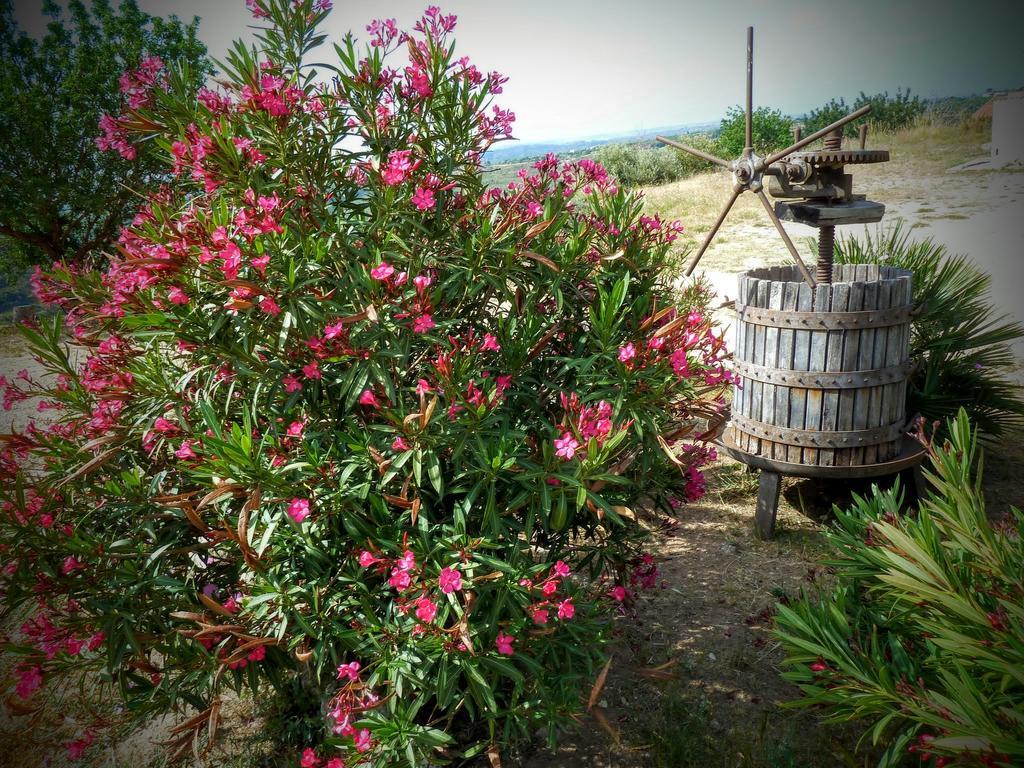 הוילה נוטו Agriturismo Timpa Del Sole מראה חיצוני תמונה